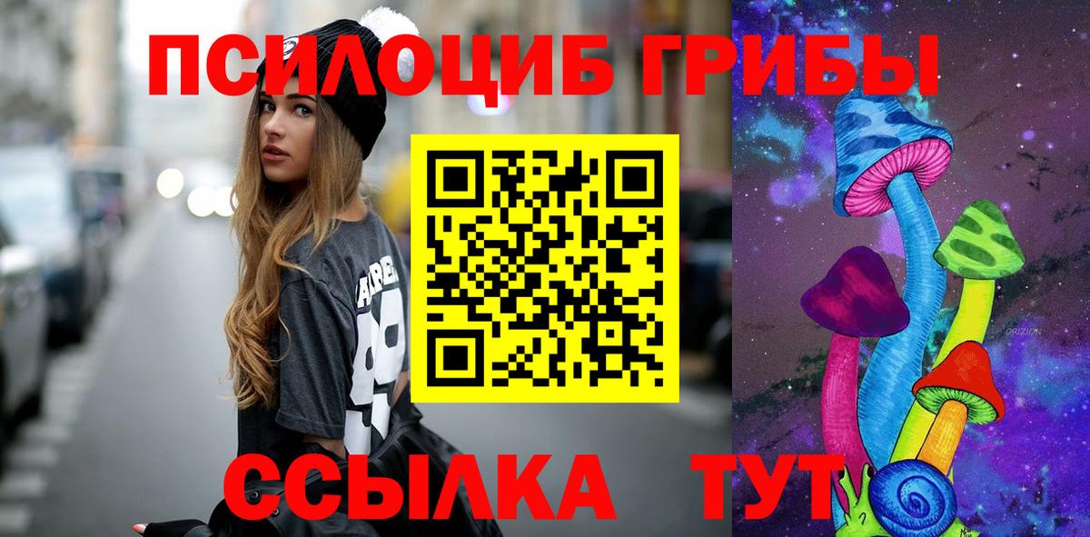 Псилоцибиновые грибы MAGIC MUSHROOMS  Псилоцибиновые грибы Cubensis  Великий Новгород  Вход с VPN 
